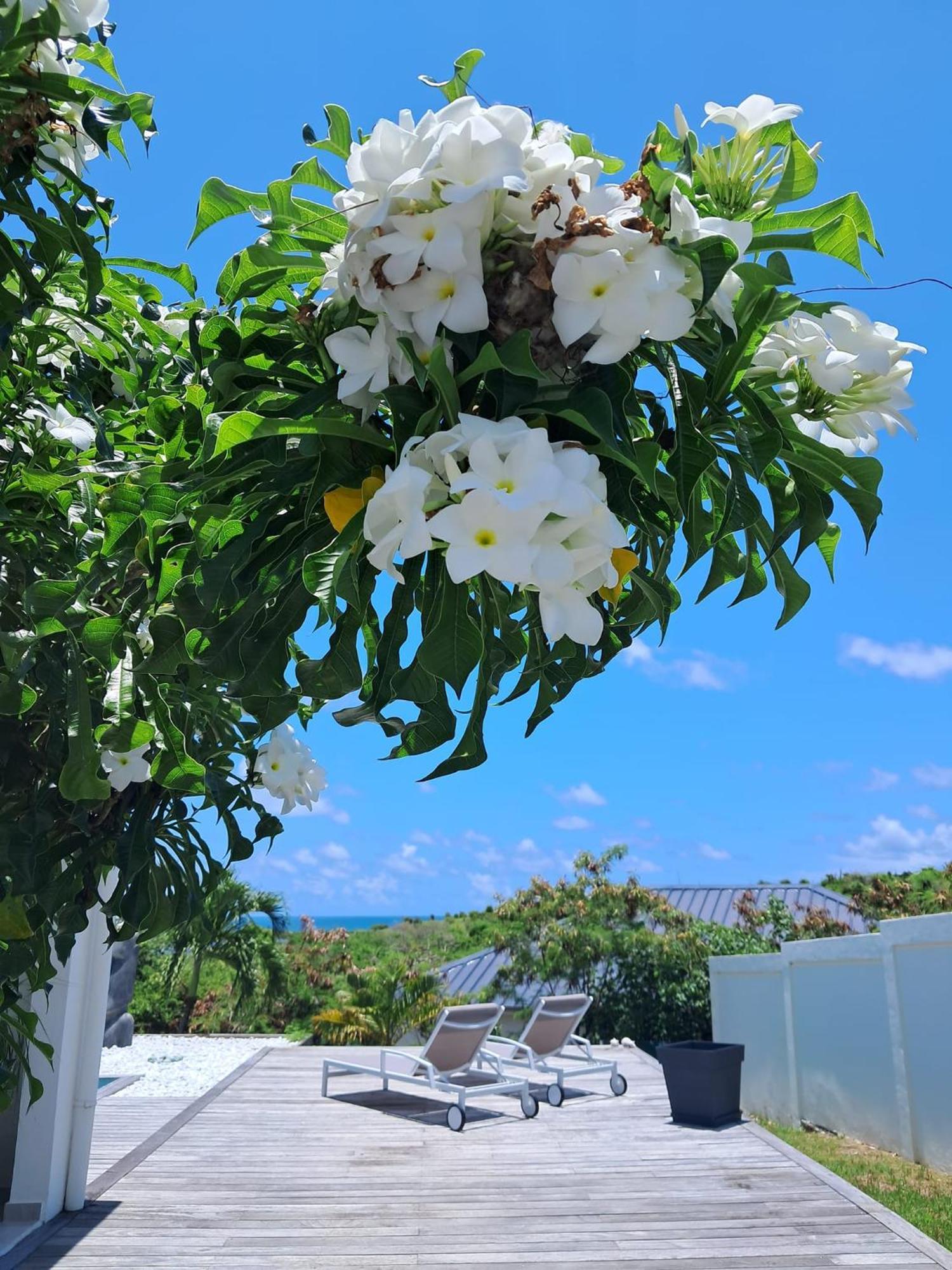 Villa Moai Cul de Sac Εξωτερικό φωτογραφία